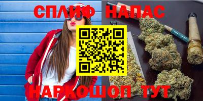 прущие грибы Ирбит