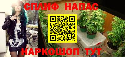 прущие грибы Ирбит