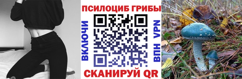 цены наркотик Соль-Илецк Псилоцибиновые грибы GOLDEN TEACHER